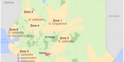 Kenya instituut geodeetilised ja kaardistamine kursused