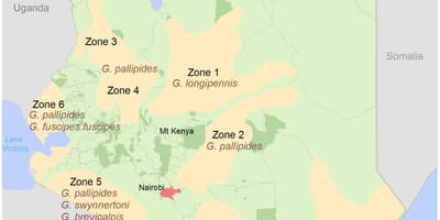 Kenya instituut geodeetilised ja kaardistamine 2016 tarbimist